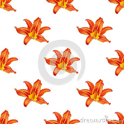 Seamless pattern orange lily flower white background isolated, red & yellow petals lilly repeating ornament, daylily texture Stock Photo