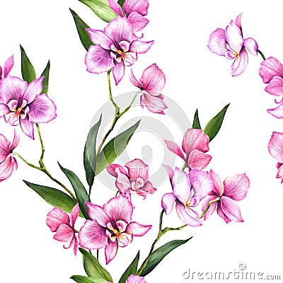 Seamless pattern with orchids. Hand draw watercolor illustration. Cartoon Illustration