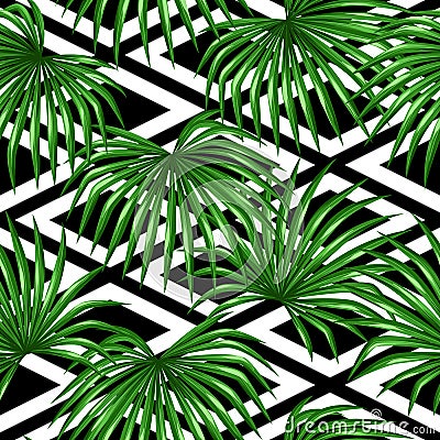 Seamless pattern with palms leaves. Decorative image tropical leaf of palm tree Livistona Rotundifolia. Background made Vector Illustration