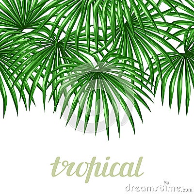 Seamless pattern with palms leaves. Decorative image tropical leaf of palm tree Livistona Rotundifolia Vector Illustration