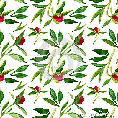 Seamless pattern with peon buds. Watercolor Stock Photo