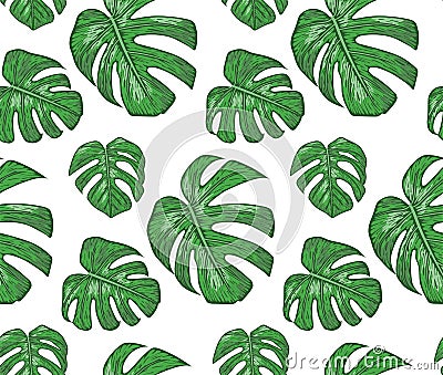 Seamless pattern with philodendron plants, green leaves cute wallpaper. Vector elegant print isolated on white background Vector Illustration