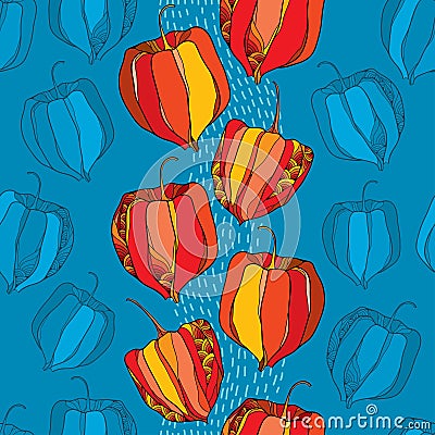 Seamless pattern with Physalis or Cape gooseberry in red and in orange on the blue background Vector Illustration