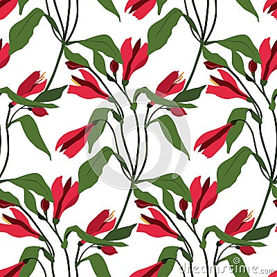 Seamless pattern pink flowers alstroemeria. Vector botanical background. Alstromeria. Vector Illustration