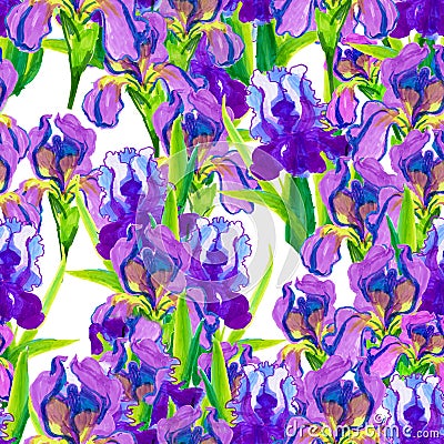 Seamless pattern pink irises on a white blue-purple background Stock Photo