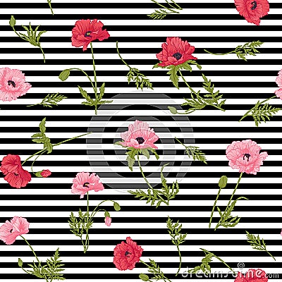 Seamless pattern with pink and red poppy flowers in botanical st Vector Illustration