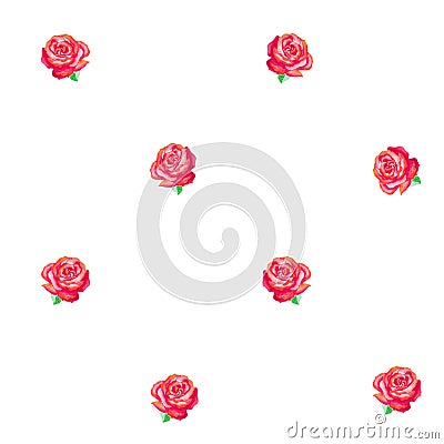 Seamless pattern of pink roses with green leaves on a white background. Stock Photo