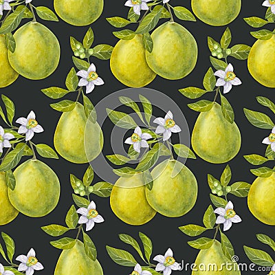 Seamless pattern pomelo citrus. Fresh yellow green fruit. Branches with leaves, flower. Hand drawn watercolor Cartoon Illustration