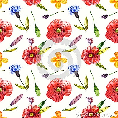 Seamless pattern with poppy, knapweed, harebell. Wildflower illustration.Natural hand drawing background .Great for Cartoon Illustration