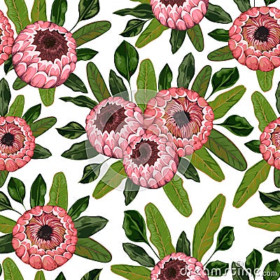 Seamless pattern with protea flowers and leaves. Decorative holiday floral background. Vector Illustration