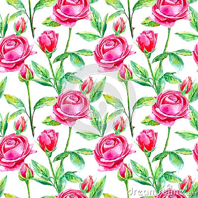 Seamless pattern of a purple roses.Briar and herbs. Cartoon Illustration