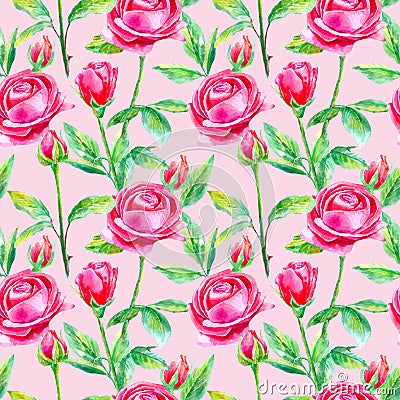 Seamless pattern of a purple roses.Briar and herbs. Cartoon Illustration
