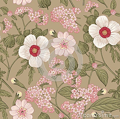 Seamless pattern. Realistic isolated flowers. Vintage background heliotrope hibiscus primavera hibisc Drawing engraving Vector Vector Illustration