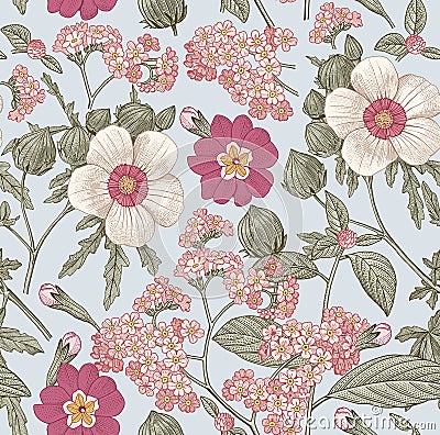 Seamless pattern. Realistic isolated flowers. Vintage background heliotrope hibiscus primavera hibisc Drawing engraving Vector Vector Illustration