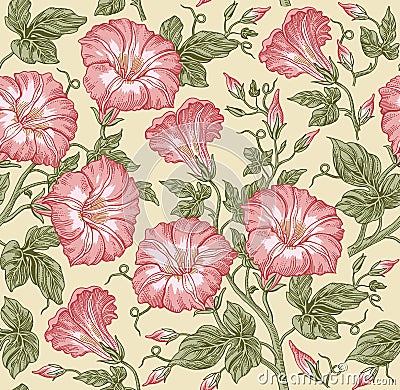 Seamless pattern. Realistic isolated flowers. Vintage baroque background. Petunia. Wallpaper. Drawing engraving. Vector Vector Illustration