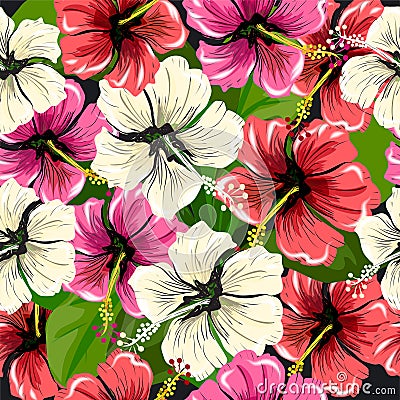 Seamless pattern with flowers hibiscus Vector Illustration