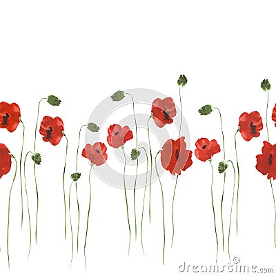 Seamless pattern of red flowers of poppies with green stems on a white background. Watercolor Stock Photo