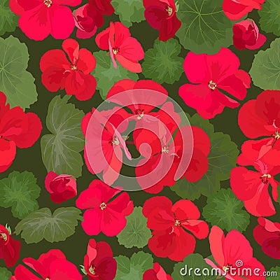 Seamless pattern with red pelargonium flowers and green leaves Vector Illustration