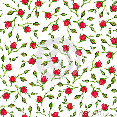 Seamless pattern with red rose buds. Vector illustration. Vector Illustration