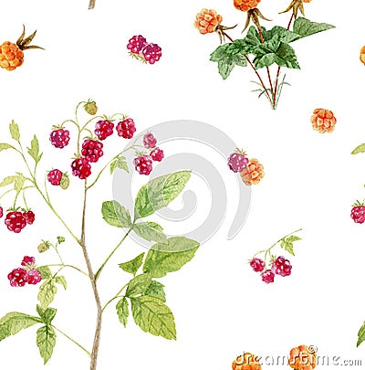 Seamless pattern repeated tile of watercolor berries Stock Photo