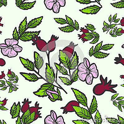 Seamless pattern rosehip bush. Sketch scratch board imitation. Color. Engraving vector Vector Illustration