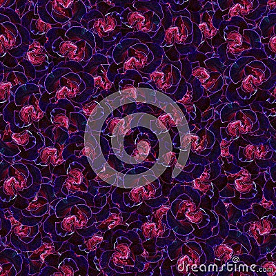 Seamless pattern of roses. Abstract background of dark blue with pink tint. Imitation of drawing. Stock Photo