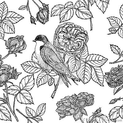 Seamless pattern with roses and birds. Garden roses and swallow. Vector Illustration