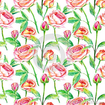 Seamless pattern of a roses.Briar and herbs.Image for fabric, paper and other printing and web projects. Cartoon Illustration