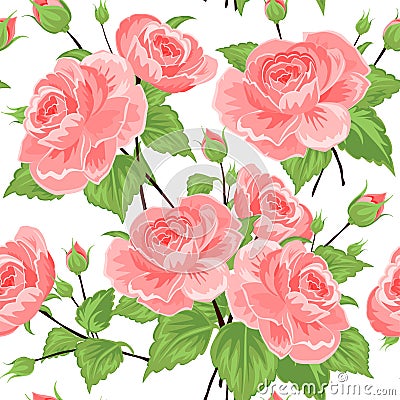 Seamless pattern with roses Vector Illustration