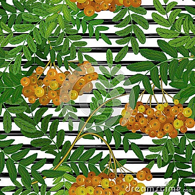 Seamless pattern with rowanberry on strips. Summer background. Vector Illustration