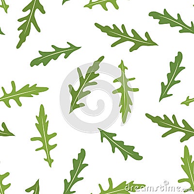 Seamless pattern with rucola or arugula. Vector Illustration