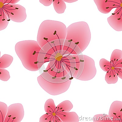 Seamless pattern with sakura flowers Cartoon Illustration