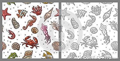 Seamless pattern sea shell, coral, cuttlefish, coral, oyster, crab, shrimp, seaweed, star, fish. Vector Illustration