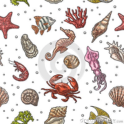 Seamless pattern sea shell, coral, cuttlefish, coral, oyster, crab, shrimp, seaweed, star, fish. Vector Illustration