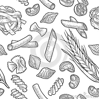 Farfalle, conchiglie, maccheroni, fusilli, penne, pipe. Vector vintage engraving illustration isolated Vector Illustration