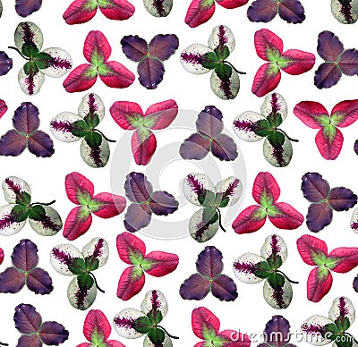 Seamless pattern shamrock clover trifolium leaves of different colors , summer floral texture, colorful background, wallpaper, Stock Photo