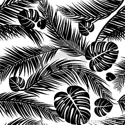 Seamless pattern with silhouettes of palm tree leaves in black on white background Vector Illustration