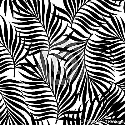 Seamless pattern with silhouettes of palm tree leaves in black on white background. Vector Illustration