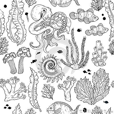 Seamless pattern with sketch of deepwater living organisms, fish and octopus. Black and white Vector Illustration