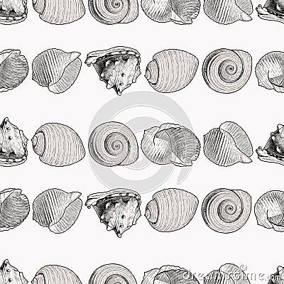 Seamless pattern of sketches various seashells Vector Illustration