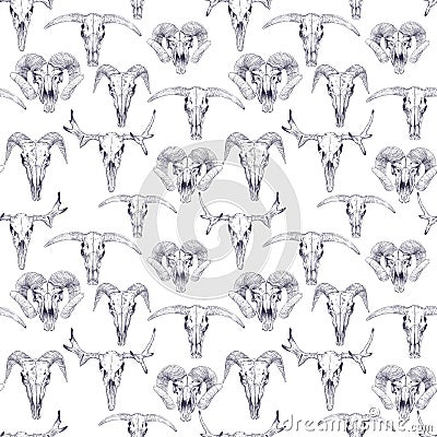 Seamless pattern with skulls of deer, bull, goat and sheep. Vector Illustration