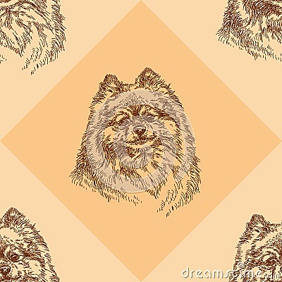 Seamless pattern with small Pomeranian on orange background Vector Illustration