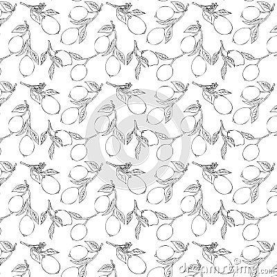 seamless pattern with a sprig of lemons Vector Illustration