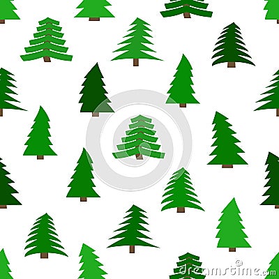 Seamless pattern with spruces on white background Vector Illustration