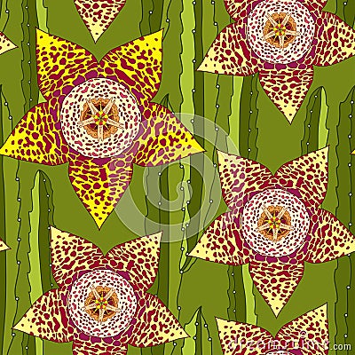 Seamless pattern with Stapelia. Genus of low-growing stem succulent plants. Series of different succulents Vector Illustration