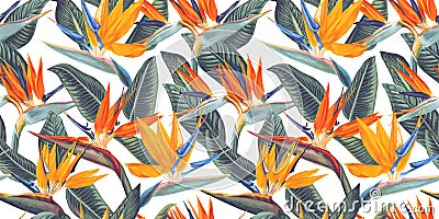 Pattern with tropical flowers and leaves of Strelitzia, called crane flower or bird of paradise. Stock Photo