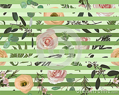 Seamless pattern, stripes background, texture print vector. Pink rose flowers, eustoma cream, brunia, green fern, eucalyptus, Vector Illustration