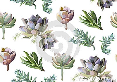 Seamless pattern: Succulent flower plant watercolor hand drawn b Vector Illustration