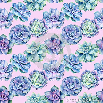 Seamless pattern with succulents plants , watercolor illustration Cartoon Illustration