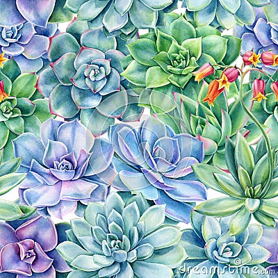 Seamless pattern with succulents plants , watercolor illustration Cartoon Illustration